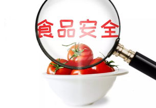 守護舌尖安全，共筑食安淄博——關于征集市民最關心的食品安全與餐飲管理問題的倡議